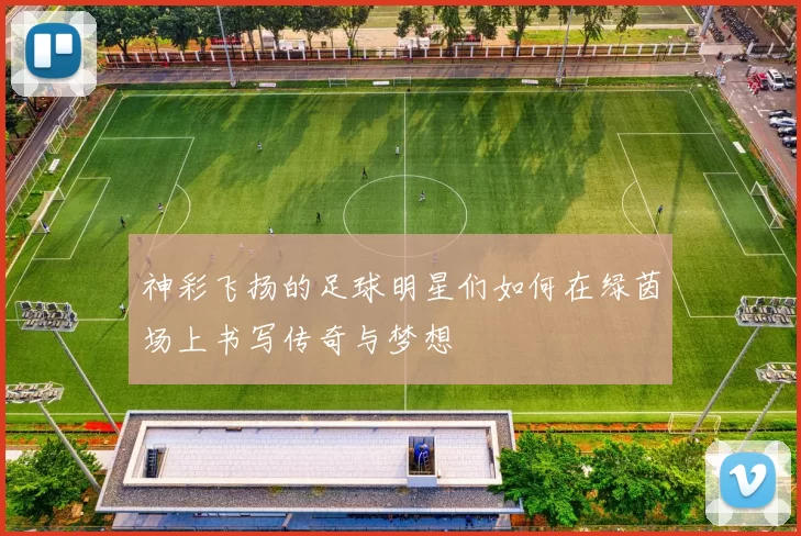 神彩飞扬的足球明星们如何在绿茵场上书写传奇与梦想