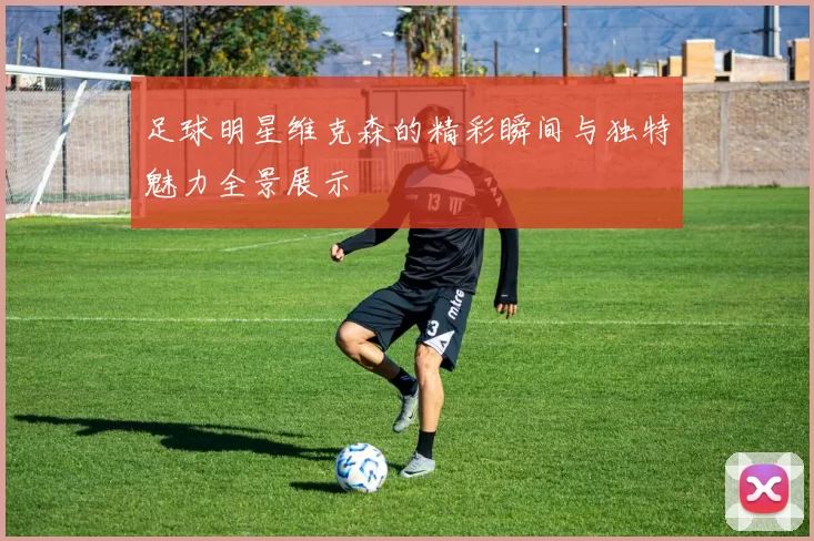 足球明星维克森的精彩瞬间与独特魅力全景展示