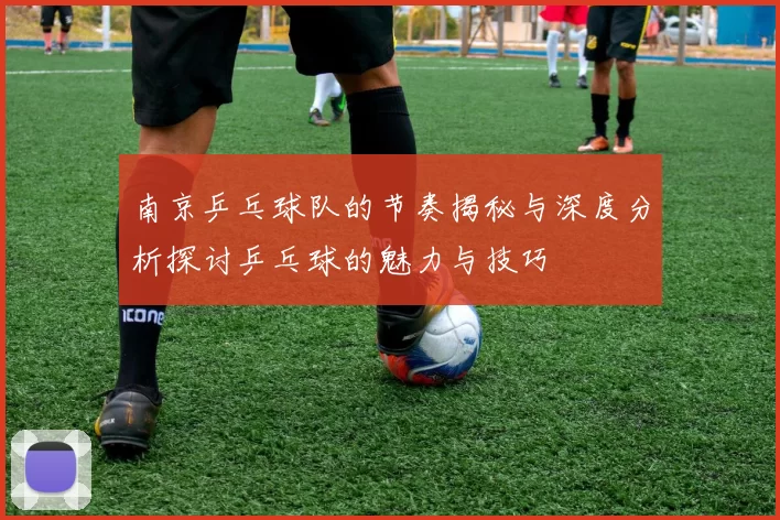 南京乒乓球队的节奏揭秘与深度分析探讨乒乓球的魅力与技巧