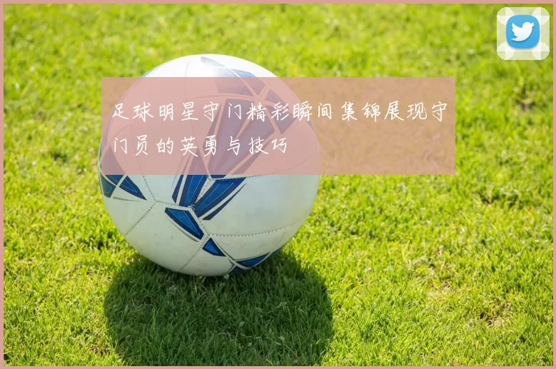 足球明星守门精彩瞬间集锦展现守门员的英勇与技巧