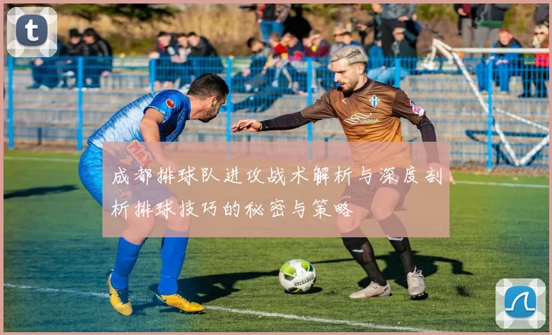 成都排球队进攻战术解析与深度剖析排球技巧的秘密与策略