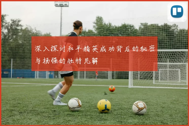 深入探讨和平精英成功背后的秘密与杨强的独特见解