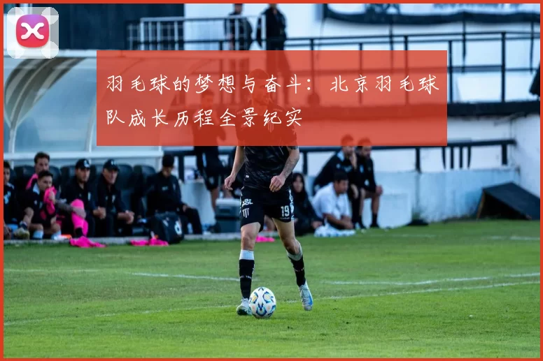 羽毛球的梦想与奋斗：北京羽毛球队成长历程全景纪实