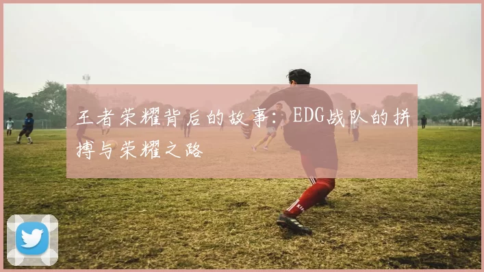 王者荣耀背后的故事：EDG战队的拼搏与荣耀之路