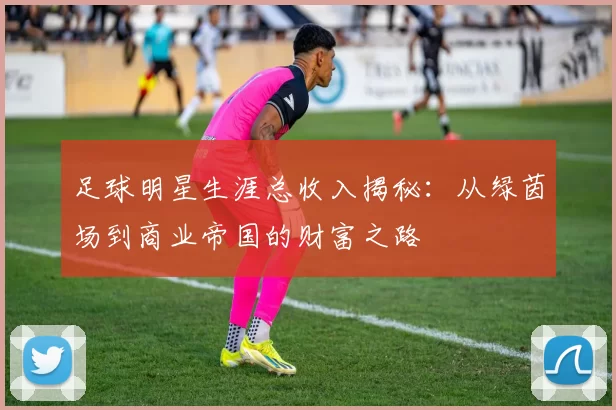 足球明星生涯总收入揭秘：从绿茵场到商业帝国的财富之路