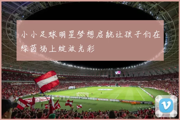 小小足球明星梦想启航让孩子们在绿茵场上绽放光彩