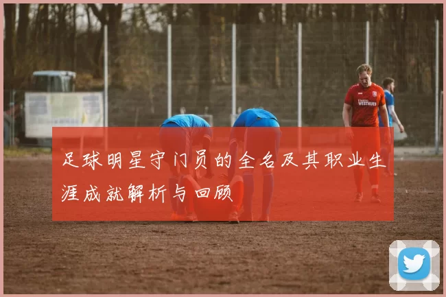 足球明星守门员的全名及其职业生涯成就解析与回顾