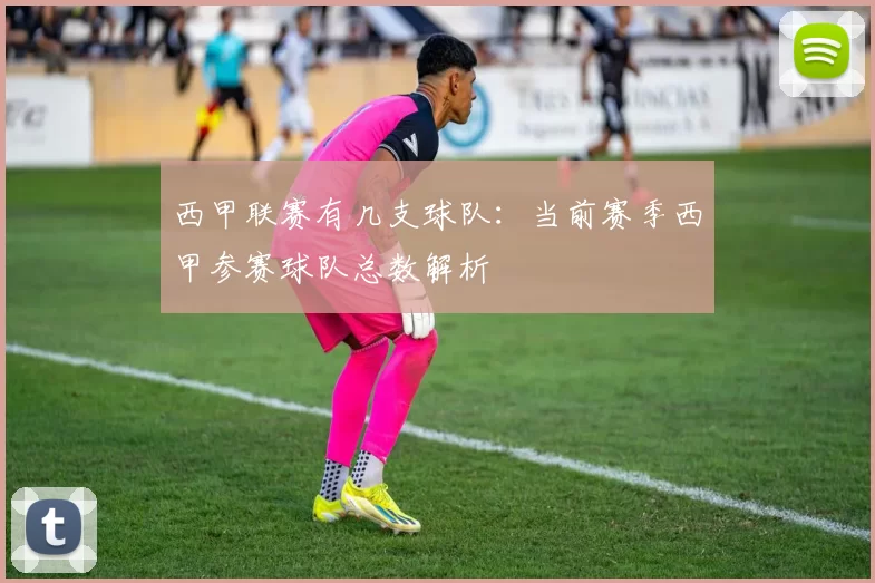 西甲联赛有几支球队：当前赛季西甲参赛球队总数解析