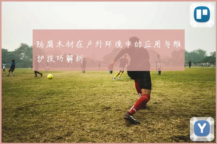 防腐木材在户外环境中的应用与维护技巧解析