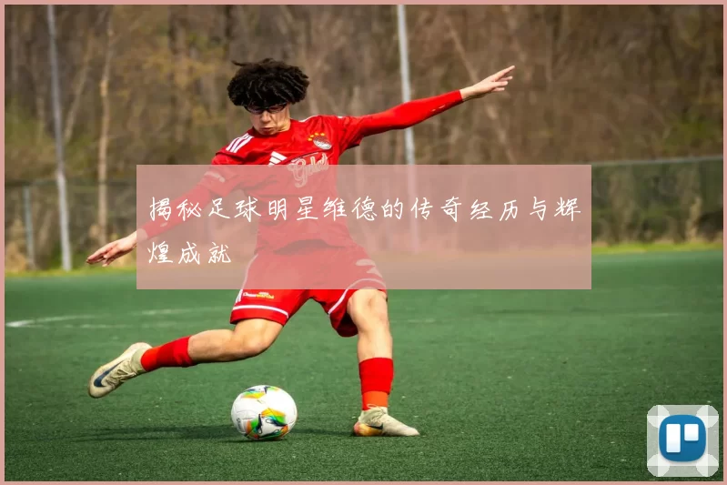 揭秘足球明星维德的传奇经历与辉煌成就