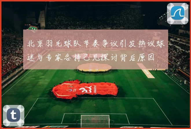 北京羽毛球队节奏争议引发热议球迷与专家各持己见探讨背后原因
