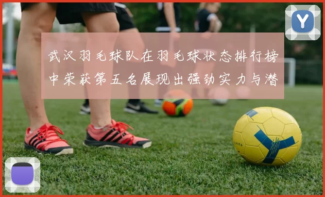 武汉羽毛球队在羽毛球状态排行榜中荣获第五名展现出强劲实力与潜力