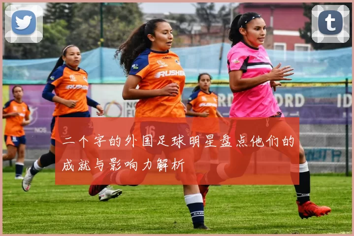 二个字的外国足球明星盘点他们的成就与影响力解析