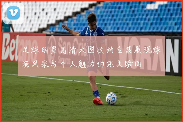足球明星高清大图收纳合集展现球场风采与个人魅力的完美瞬间
