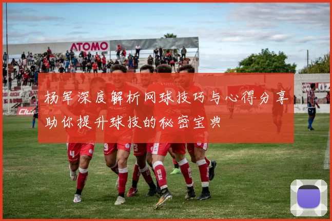 杨军深度解析网球技巧与心得分享助你提升球技的秘密宝典