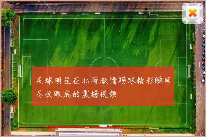 足球明星在北海激情踢球精彩瞬间尽收眼底的震撼视频