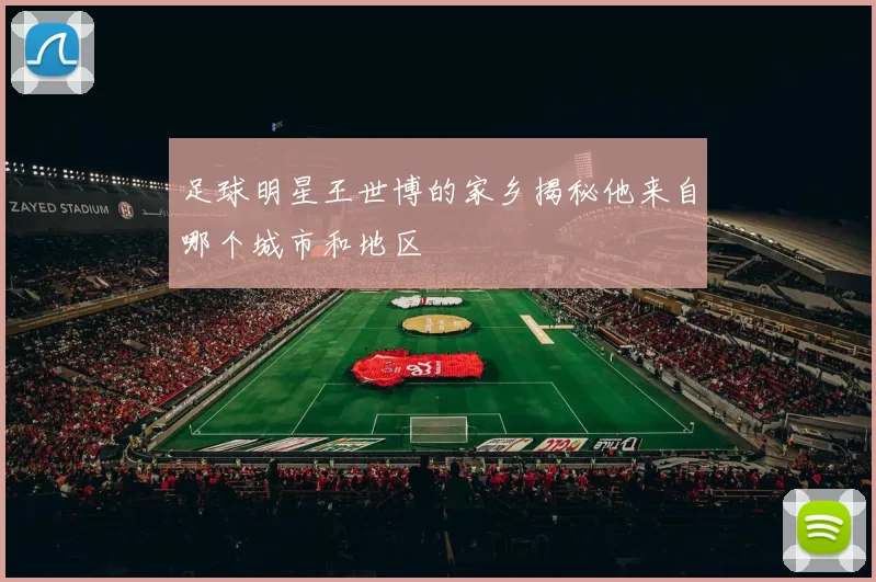 足球明星王世博的家乡揭秘他来自哪个城市和地区