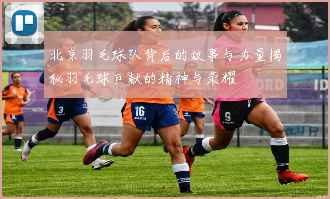 北京羽毛球队背后的故事与力量揭秘羽毛球巨献的精神与荣耀