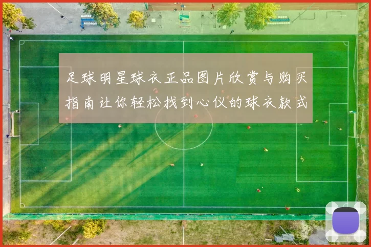 足球明星球衣正品图片欣赏与购买指南让你轻松找到心仪的球衣款式
