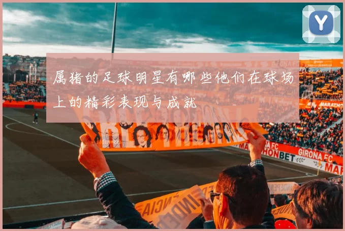 属猪的足球明星有哪些他们在球场上的精彩表现与成就