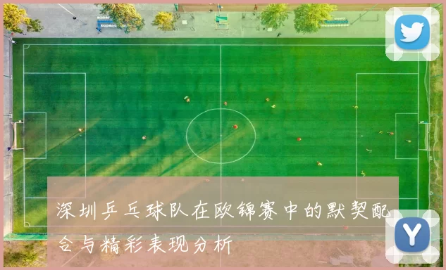 深圳乒乓球队在欧锦赛中的默契配合与精彩表现分析