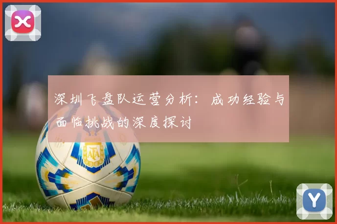 深圳飞盘队运营分析：成功经验与面临挑战的深度探讨