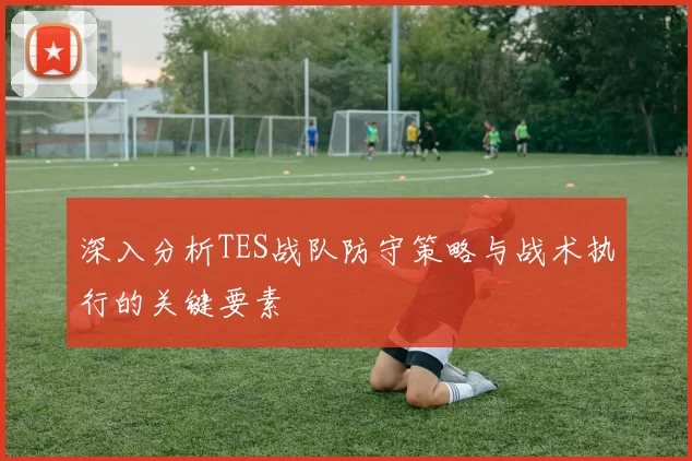深入分析TES战队防守策略与战术执行的关键要素